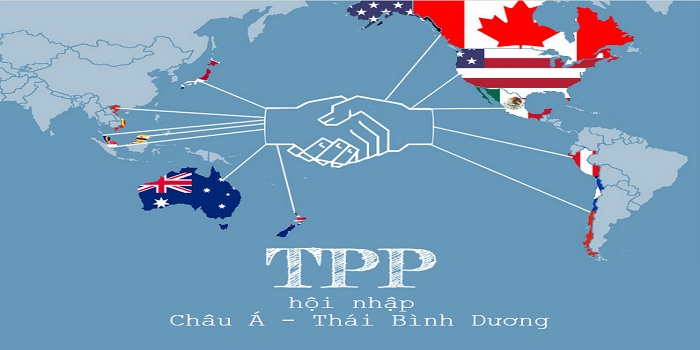 Xử lý vi phạm sở hữu trí tuệ theo pháp luật Việt Nam và TPP   